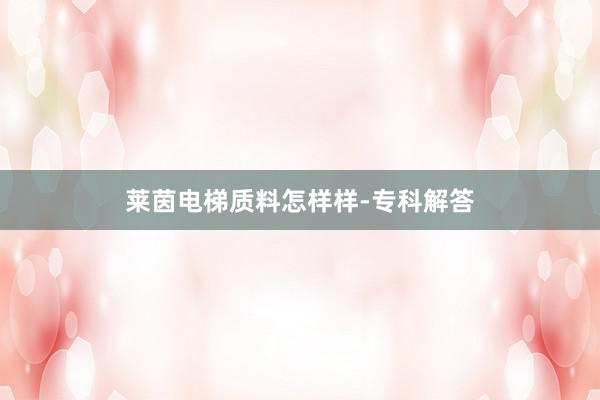 莱茵电梯质料怎样样-专科解答