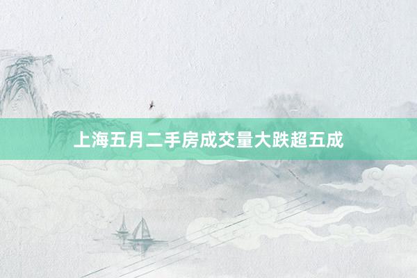 上海五月二手房成交量大跌超五成