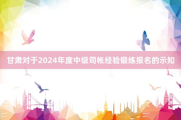 甘肃对于2024年度中级司帐经验锻练报名的示知