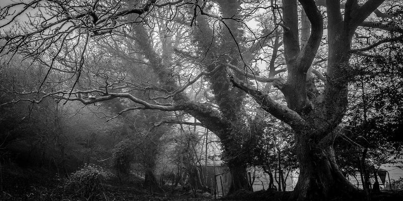 BZDBZ与包装材料:现代包装设备的核心驱动力与选型指南