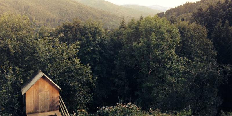 BZDBZ智能包装设备：小批量多品种生产的桌面型包装解决方案