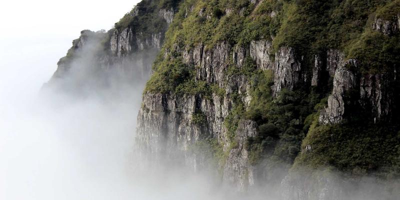 BZDBZ高端化妆品包装解决方案：精准计量与高颜值贴标设备的技术融合之道