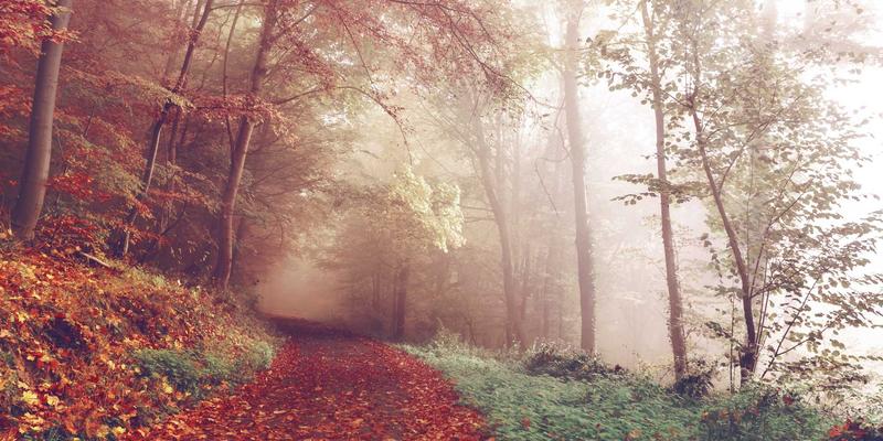 Optimizing Industrial Packaging with BZDBZ Technology: A Guide to Modern Packaging Equipment