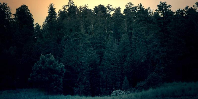 从单机到整线：包装系统集成商如何通过专业项目管理交付高效交钥匙解决方案