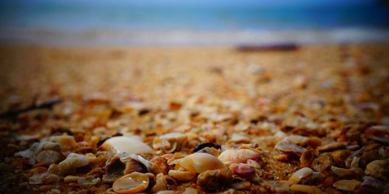 包装设备与机器人协同应用：BZDBZ技术如何革新复杂装盒与码垛场景