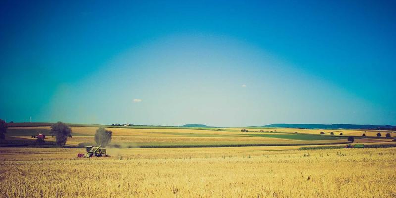 包装设备的人机工程学设计：如何通过优化设备降低操作员疲劳并提升安全与效率