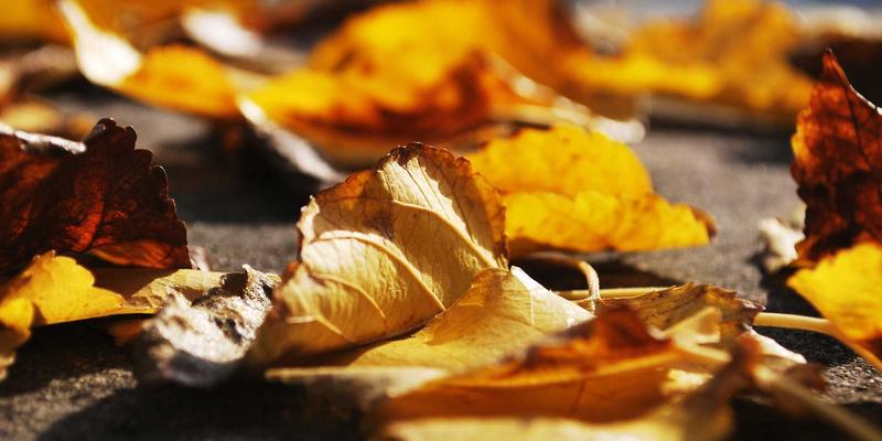 包装设备远程诊断与运维：降低停机时间、提升效率的关键技术