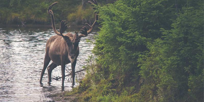 工业包装革命：解码后道包装流程中码垛机器人的关键技术