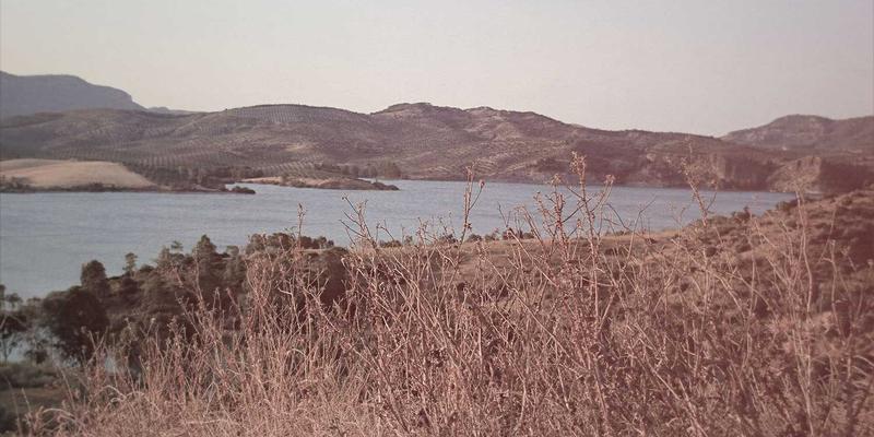 智能升级：机器视觉检测系统如何重塑工业包装设备与材料的质量管控体系